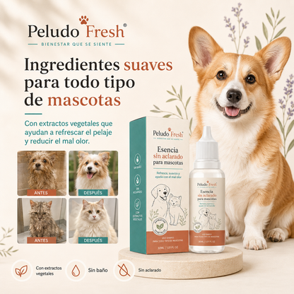 Esencia Pet Wash sin agua