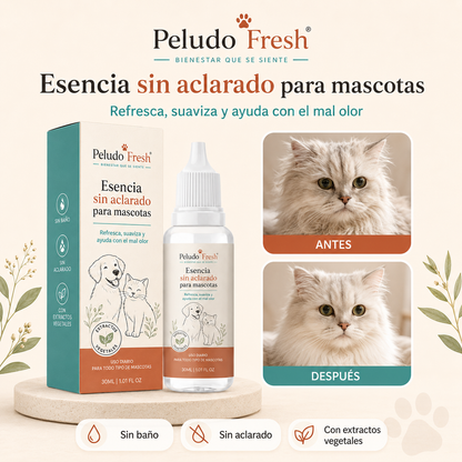 Esencia Pet Wash sin agua